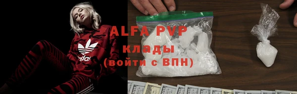 эйфоретик Кинешма
