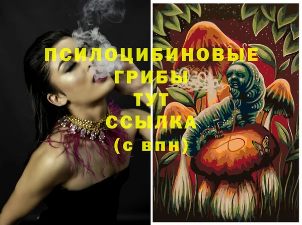 эйфоретик Кинешма