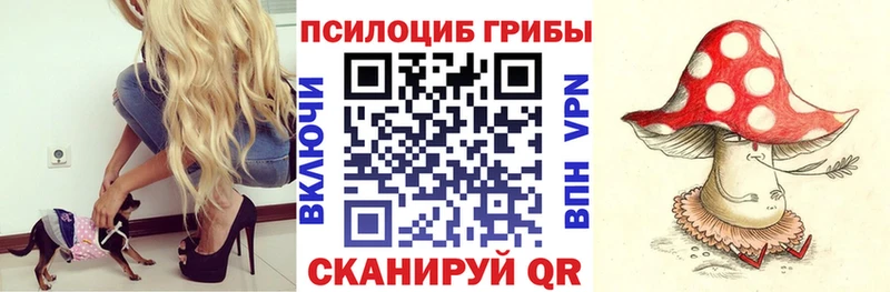 Купить закладки Верхний Тагил Псилоцибиновые грибы мухоморы
